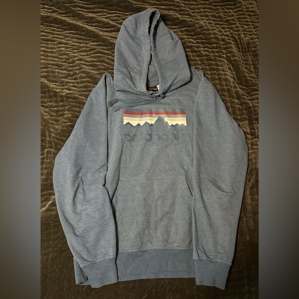 Patagonia Hooded Sweatshirt (Hoodie)